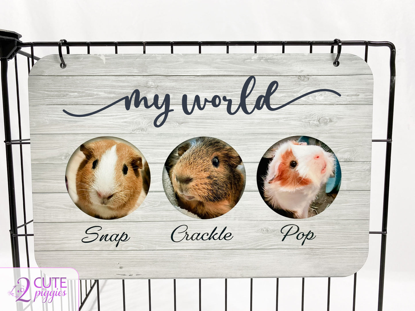 Rat Name Tag with Pictures of Your Rats - Multiple Photo